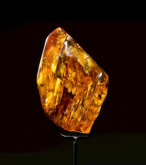 BALTIC AMBER