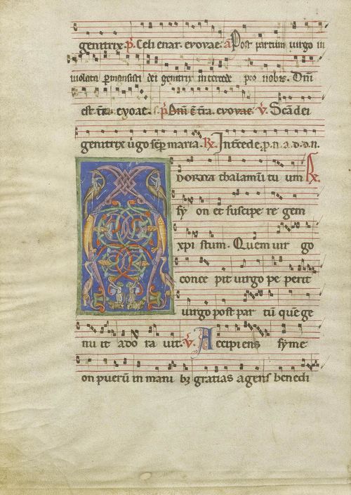 BOOK ILLUMINATOR OF THE VENETO, 13TH CENTURY. Leaf from an antiphonary with an ornamented initial A. Vellum. Veneto, ca. 1250-60. 430 x 305 mm (Initial 130 x 77 mm). Provenance: - Bis 1884, Paris, collection of the Comte de Bastard d' Estang. - Paris-Florence, Landau Finaly collection, 1977. - Lucerne, Fischer 21., 22. November 1977, Los No. 787. - 1994 London, Sam Fogg. - In the current collection since 1994. Bibliography: - Luzern, Fischer, 21, 22 Nov. 1977, pp.120-121, No.787. - Friedrich G. Zeileis, Più ridon le carte (3.ed.), Rauris 2014, pp.12-15. This initial A opens the first response to the first nocturn of the Feast of Light (2 Feb) This important example of early Venetian illumination was formerly part of the famous collection of the Comte de Bastard d' Estang, which included several further sister leavess from the same dispersed choir book. These later came to the Landau Finaly collection (Florence-Paris) This antiphonary leaf and its sister leaves preceded the miniatures in the epistolary of Giovanni di Gaibana (1259) and indeed can be dated to a few years earlier.