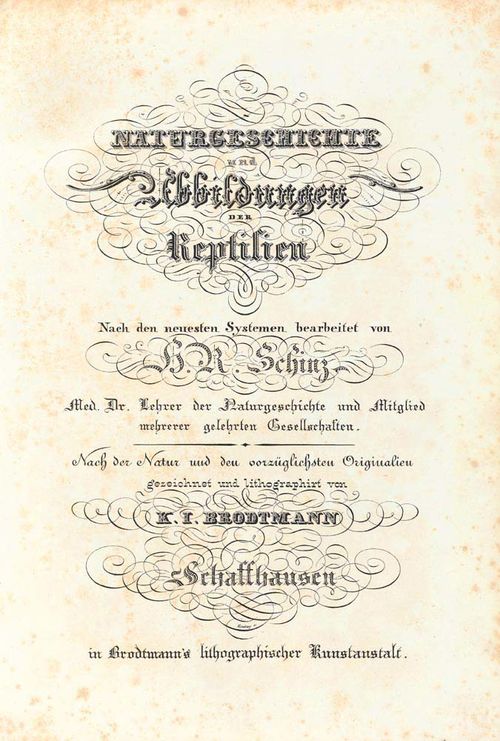 - Schinz, H.R., Naturgeschichte und Abbildungen der Reptilien. Nach den neuesten Systemen zum gemeinnützigen Gebrauche entworfen und mit Berücksichtigung für den Unterricht der Jugend bearbeitet. Nach der Natur und den vorzüglichsten Originalen gezeichnet von K. J. Brodtmann. Schaffhausen, Brodtmanns lithographische Anstalt, 1833. [2 Bll.] 240, IV S..Mit 102 kol. lith. Taf. Hpgt. d.Z. Fol. (Kanten und Ecken bestossen). Nissen ZBI, 3671. - Komplettes, sauberes Expl. aus der Bibliothek des St.Galler Naturforschers und Paläontolen Dr. Emil Bächler. Exlibris Martha Cunz auf fliegendem Vorsatz verso (zweifarb. Holzschn.). - Exlibris auf vorderem Innendeckel, Texts. stockfleckig.