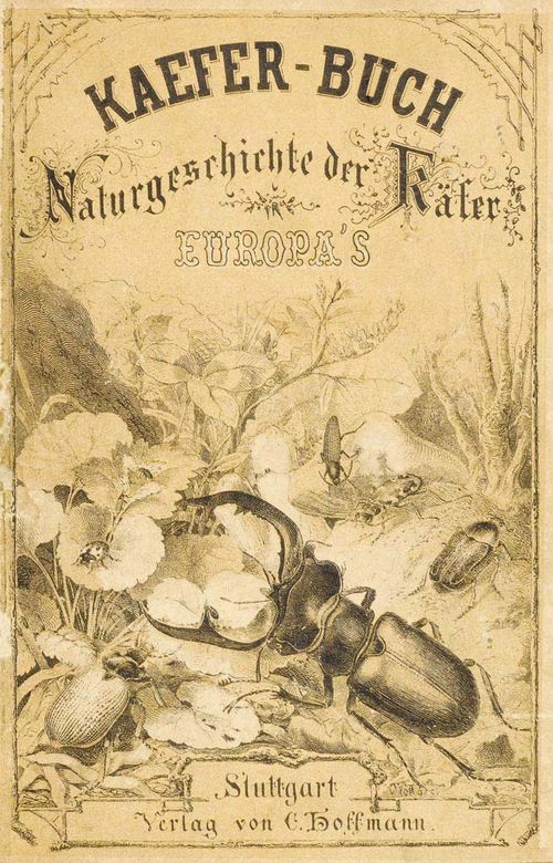 - 2 Werke und eine Beigabe: 1. Calwer, C[arl] G[ustav]/ Jäger, Gustav, Käferbuch. Naturgeschichte der Käfer Europa's. ... 2., verm., und verb. Aufl. Stuttgart, Hoffmann, 1869. Mit 49 lith. Taf., davon 48 kol. XVI, 626 S. Pbd. mit lith. Deckelillustr. und Leinenrücken. 8°. - 2. Imhoff, Ludwig. Versuch einer Einführung in das Studium der Koleopten. Basel, Schweighauser, 1856.2 Teile in einem Bd. Mit 25 (von 27) lith Taf. XXXI, 272 S. [25] Bll. Or.Hldr. Gr.-8°.- (Hintere Rückenkante aufgeplatzt, Rücken beschabt, Ecken bestossen, Kanten berieben). 1: Nissen ZBI, 790. - 2 : Nissen ZBI, 2109. - Einträge von alter Hand auf flieg. Vorsatz, Titel gestempelt. - Beigegeben: Graser's naturwissenschaftliche und landwirtschaftliche Tafel Nr. 4: Einheimische Käfer. Eine mehrfach gef. farb. lith. Taf. in Or.Kt. Gr.-8°. (Fleckig). - Zusammen 3 Werke.