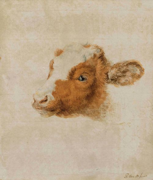 JAN VAN OS (Middelharnis 1744 - 1808 The Hague).Lot of 2 sheets.: 1. Head of a calf. 2. Head of an ox. Watercolour, each ca. 18 x 15 cm (image). Signed in brown pen below the image to the right: J: van Os. fecit. Framed as a pair.