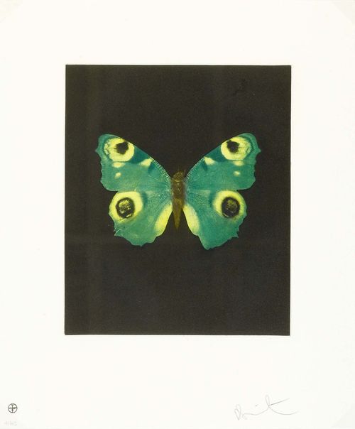 DAMIEN HIRST