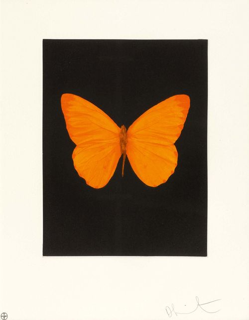 DAMIEN HIRST