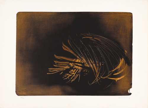 HANS  HARTUNG