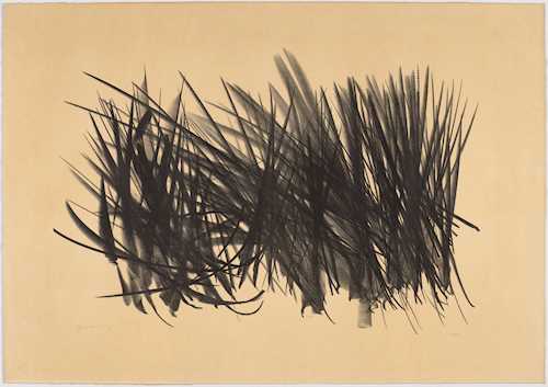 HANS HARTUNG