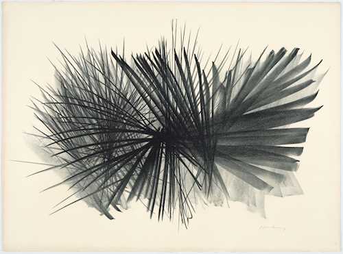 HANS HARTUNG