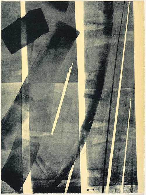 HANS HARTUNG