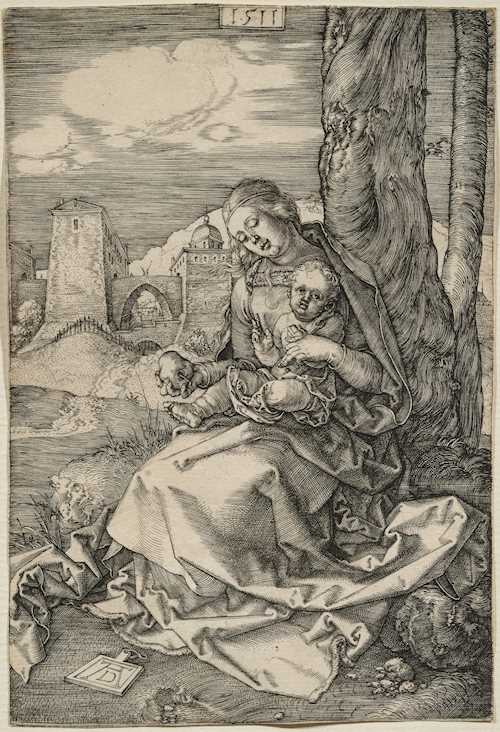 ALBRECHT DÜRER