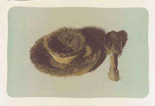 MERET OPPENHEIM