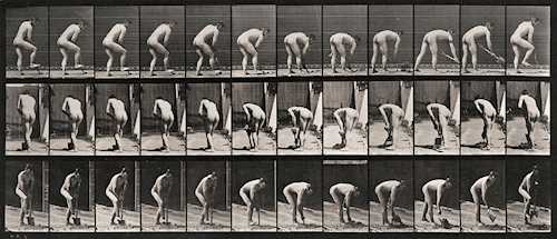 EADWEARD MUYBRIDGE