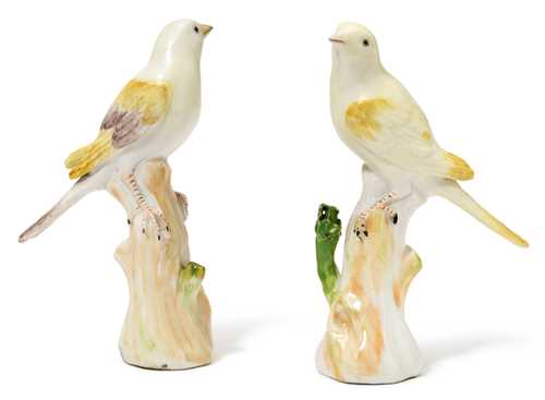 TWO CANARY BIRDS