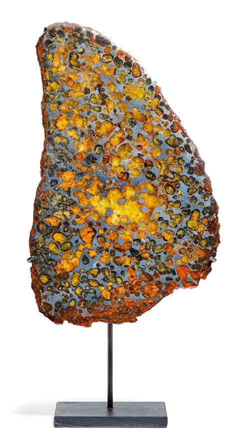 SLICE OF THE SERICHO PALLASITE