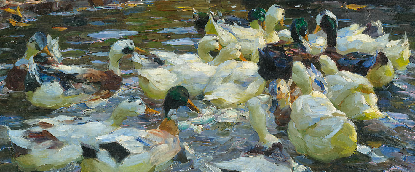 Alexander Koester, Ducks